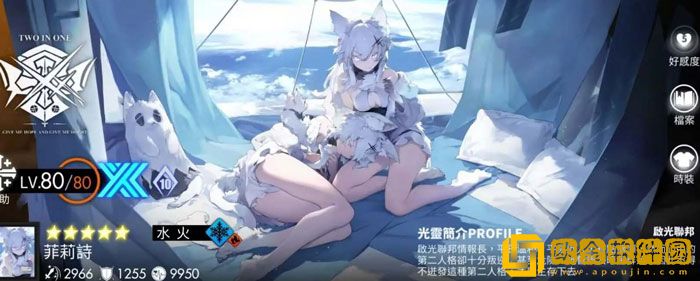 白夜极光水队阵容怎么玩 白夜极光水队阵容玩法攻略