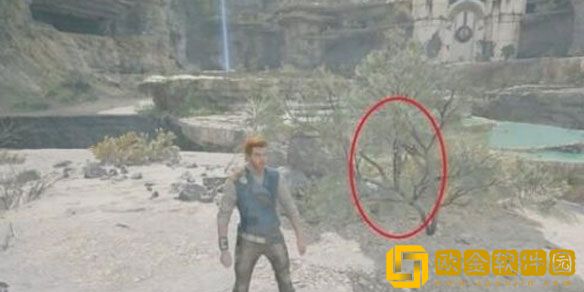 星球大战绝地幸存者**河滩收集攻略 **河滩收集品有哪些