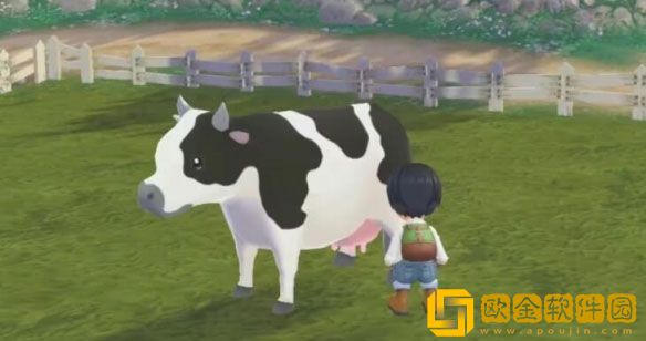 牧场物语美丽人生开局动物怎么养 开局动物养殖技巧