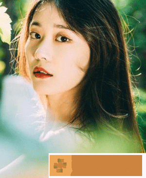 2828电影网app-2828电影网app手机正式版