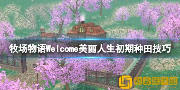 牧场物语美丽人生初期怎么种田 初期种田技巧