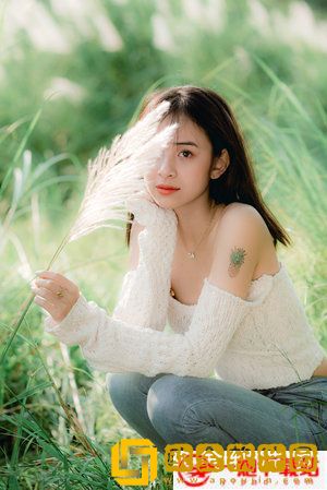 草莓香蕉菠萝秋葵黄瓜-草莓香蕉菠萝秋葵黄瓜最新纯净版