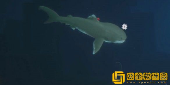 潜水员戴夫巨口鲨位置在哪 巨口鲨位置分享