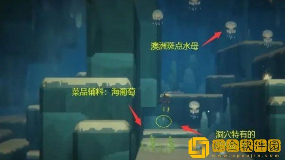 潜水员戴夫澳洲斑点水母怎么抓 澳洲斑点水母捕捉方法