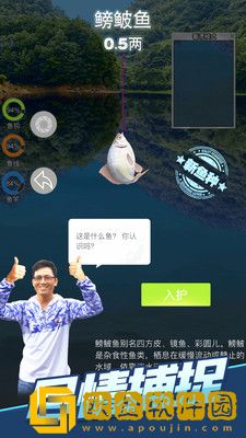 天天钓鱼达人版
