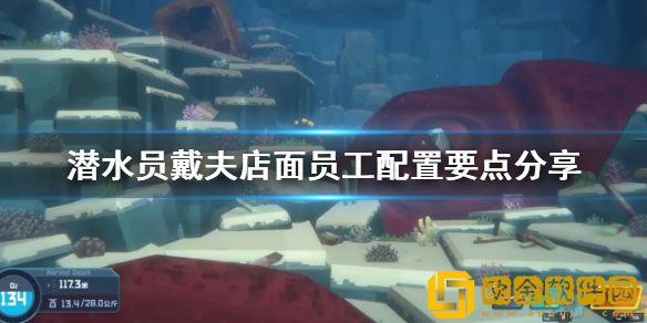 潜水员戴夫店面员工配置要点分享 店面员工怎么分配