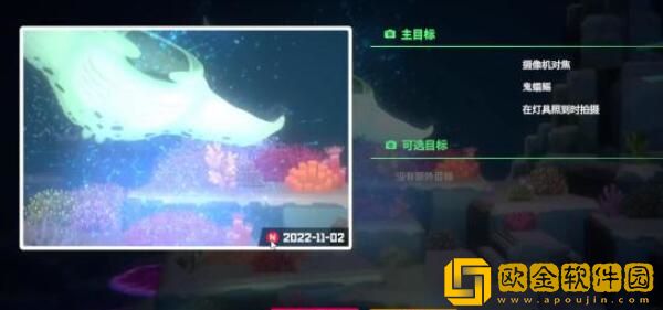 潜水员戴夫鬼蝠鲼怎么拍照 如何拍摄鬼蝠鳐照片