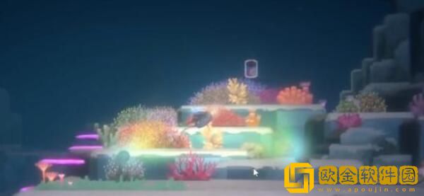 潜水员戴夫鬼蝠鲼怎么拍照 如何拍摄鬼蝠鳐照片