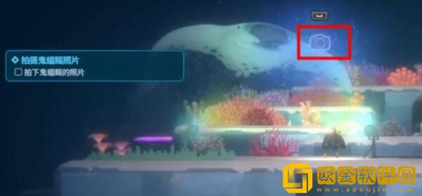 潜水员戴夫鬼蝠鲼怎么拍照 如何拍摄鬼蝠鳐照片