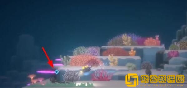 潜水员戴夫鬼蝠鲼怎么拍照 如何拍摄鬼蝠鳐照片