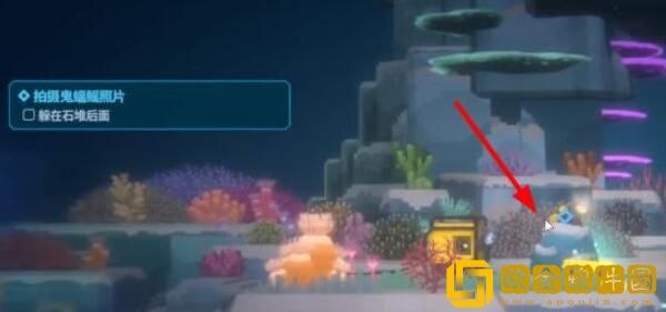 潜水员戴夫鬼蝠鲼怎么拍照 如何拍摄鬼蝠鳐照片