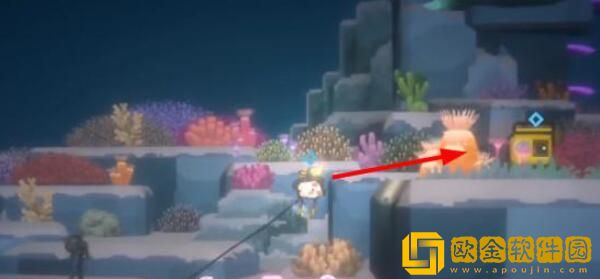 潜水员戴夫鬼蝠鲼怎么拍照 如何拍摄鬼蝠鳐照片