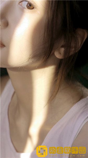 伊缅园3秒入口直达2024