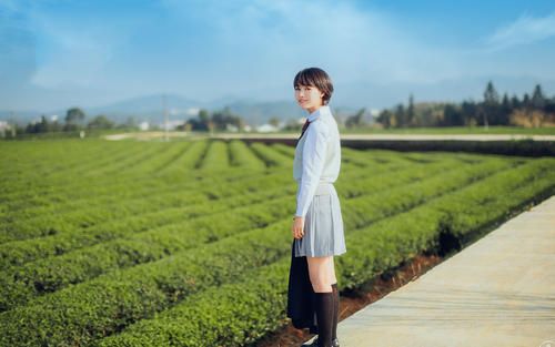 国产无矿转码2023入口-国产无矿转码2023入口华语版v1.3.4