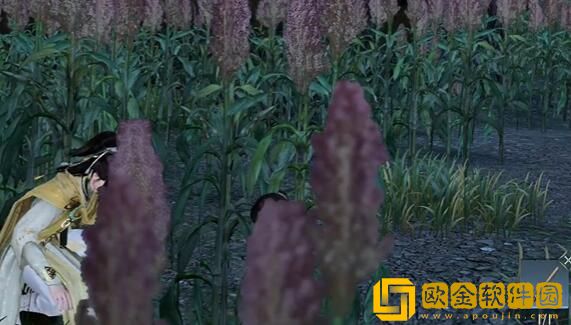 逆水寒手游羌笛不须怨奇遇怎么做