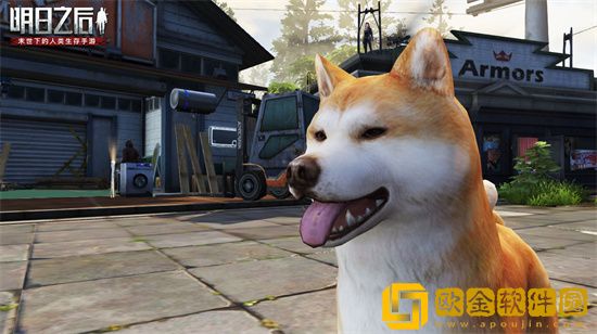 明日之后狗选择哪个 明日之后狗狗职业选择