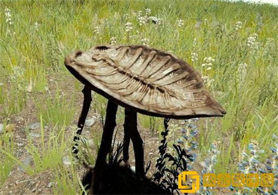 森林之子怎么滑龟壳 森林之子龟壳怎么滑行