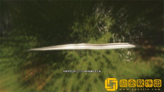 古剑奇谭三龙王鱼在哪钓