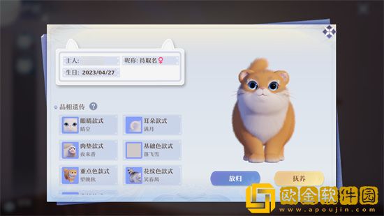 梦幻新诛仙怎么养猫 梦幻新诛仙猫要怎么获得