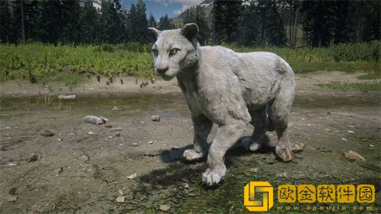 荒野大镖客2美洲狮必刷位置 荒野大镖客2美洲狮固定刷新位置