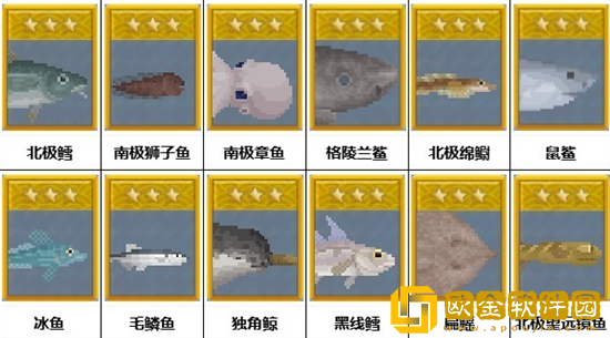 潜水员戴夫冰河地区有哪些鱼