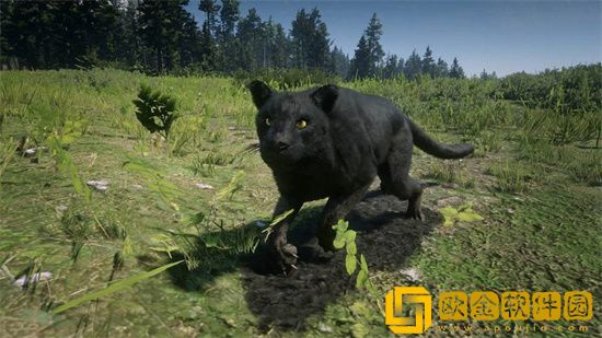 荒野大镖客2美洲狮必刷位置