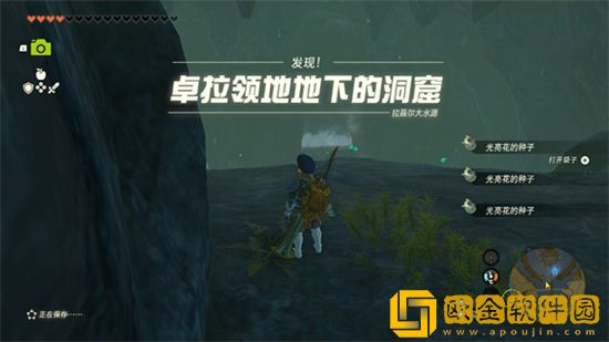 塞尔达传说王国之泪卓拉领地地下的深穴在哪里