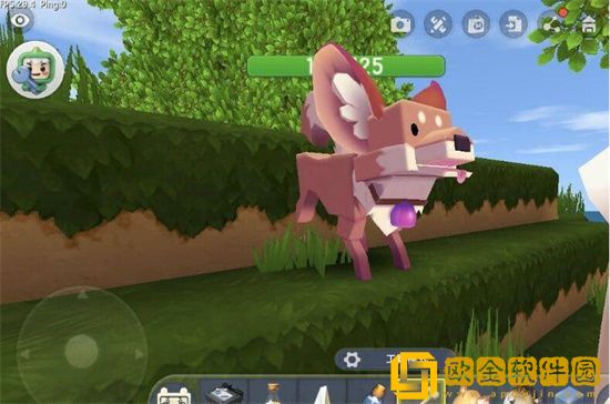 迷你世界驯服狐狸的方法是什么