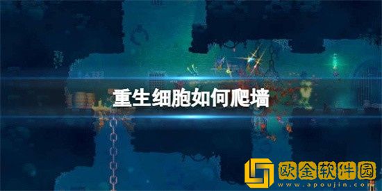 重生细胞如何爬墙 重生细胞爬墙方法