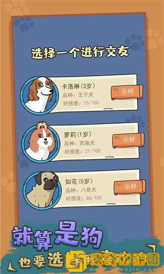 狗生模拟器如何进入富人区