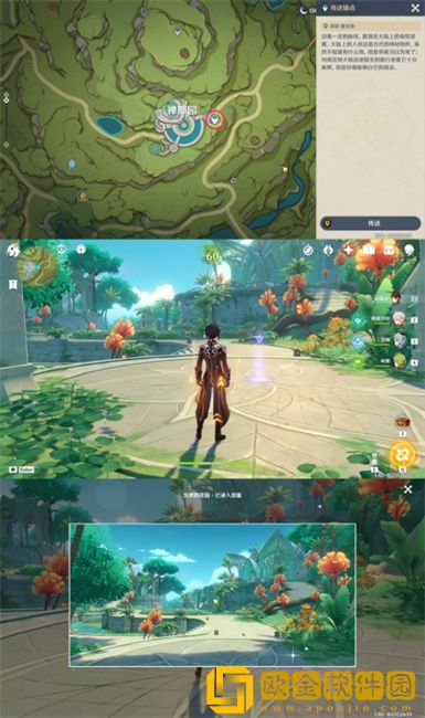 原神须弥雨林观景点有哪些