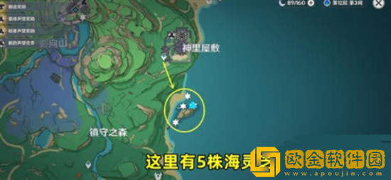 原神海灵芝采集点在哪