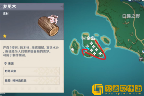 原神梦见木在哪采集