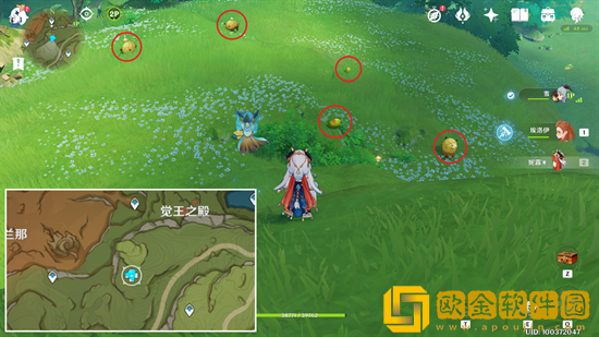 原神小蕈猪在哪