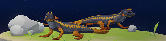 原神赤尾蜥在哪抓