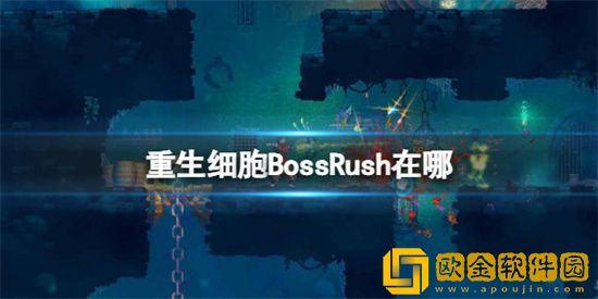 重生细胞BossRush在哪 BossRush位置