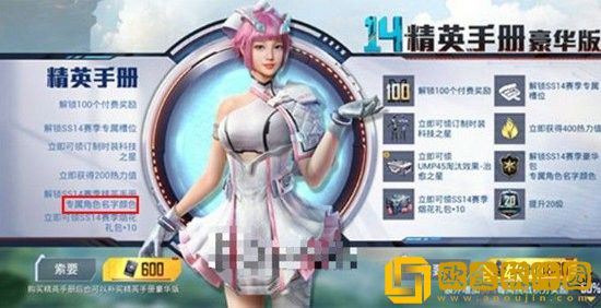 和平精英金色名字怎么弄的