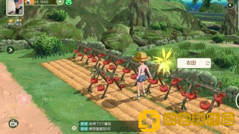 小森生活心之所状态怎么来的 小森生活心之所状态获取方法