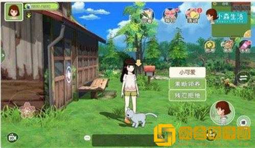 小森生活猫怎么领养 小森生活猫的领养攻略