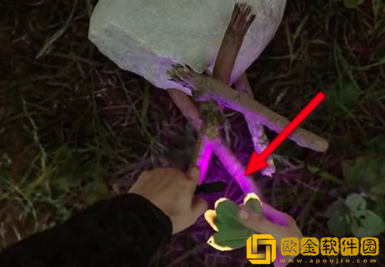 森林之子火堆怎么建造