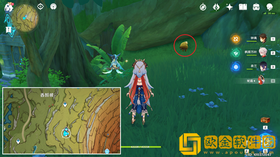 原神小蕈猪在哪