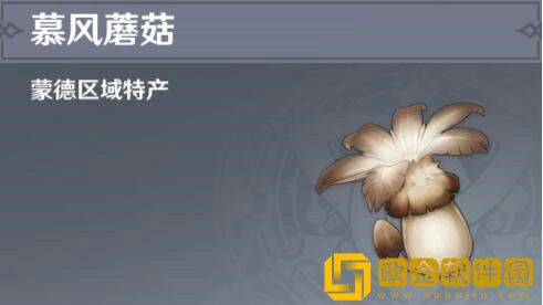 原神慕风蘑菇在哪里 原神慕风蘑菇采集地点汇总