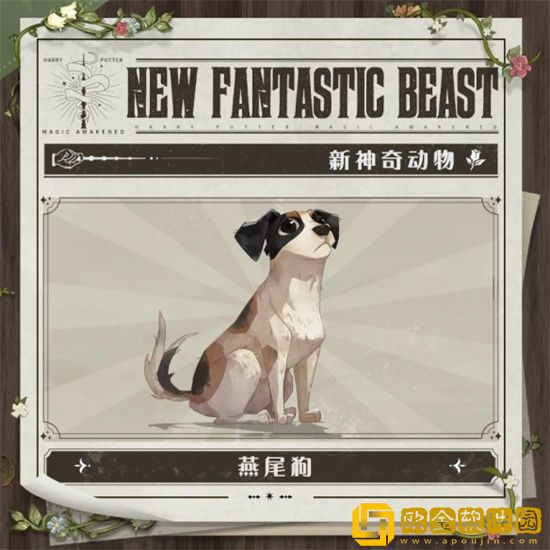 哈利波特新赛季有哪些更新内容