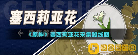 原神塞西莉亚花在哪里采 塞西莉亚花采集路线图
