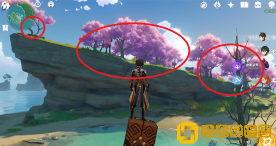 原神梦见木在哪采集