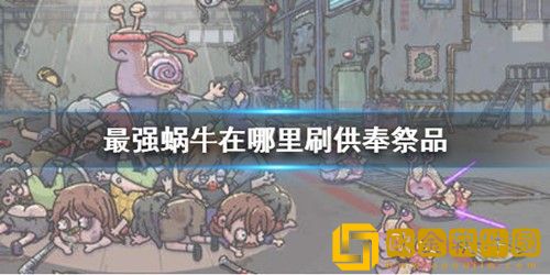 最强蜗牛在哪里刷供奉祭品 最强蜗牛供奉祭品获得攻略