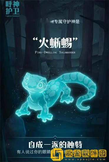 哈利波特魔法觉醒有哪些守护神