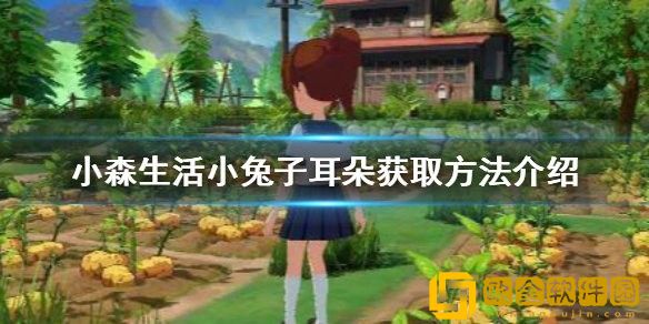 小森生活小兔子耳朵怎么获取 小森生活小兔子耳朵获取攻略