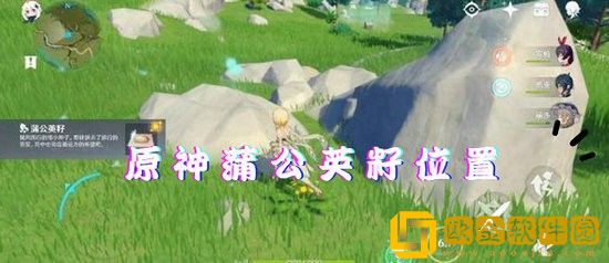 原神蒲公英籽怎么获得 原神蒲公英分布图一览