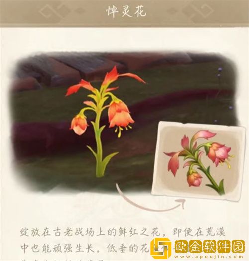 原神悼灵花多久刷新一次 刷新时间介绍